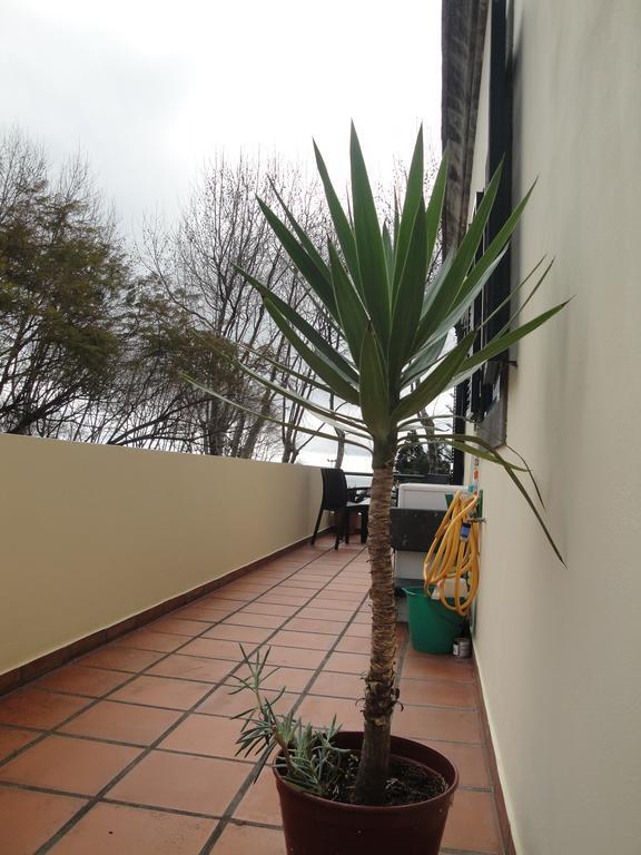 Apartment Alameda With Sea View Machico  Exterior foto